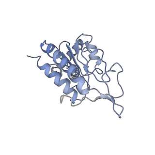 8522_5u9g_B_v1-4
3.2 A cryo-EM ArfA-RF2 ribosome rescue complex (Structure I)