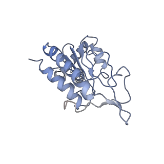 8522_5u9g_B_v1-5
3.2 A cryo-EM ArfA-RF2 ribosome rescue complex (Structure I)