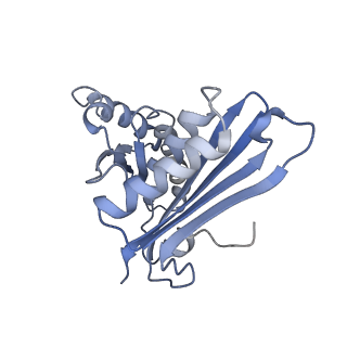 8522_5u9g_C_v1-4
3.2 A cryo-EM ArfA-RF2 ribosome rescue complex (Structure I)