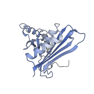 8522_5u9g_C_v1-5
3.2 A cryo-EM ArfA-RF2 ribosome rescue complex (Structure I)