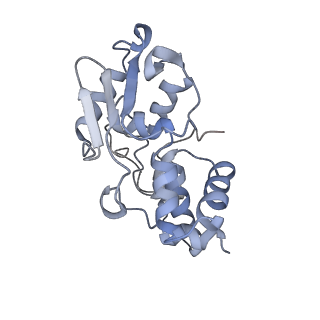 8522_5u9g_D_v1-4
3.2 A cryo-EM ArfA-RF2 ribosome rescue complex (Structure I)