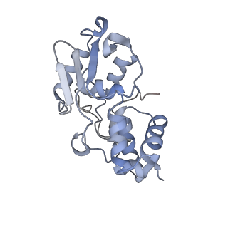 8522_5u9g_D_v1-5
3.2 A cryo-EM ArfA-RF2 ribosome rescue complex (Structure I)