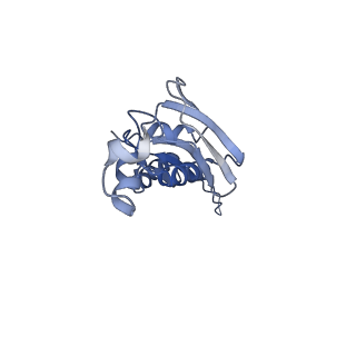 8522_5u9g_E_v1-4
3.2 A cryo-EM ArfA-RF2 ribosome rescue complex (Structure I)