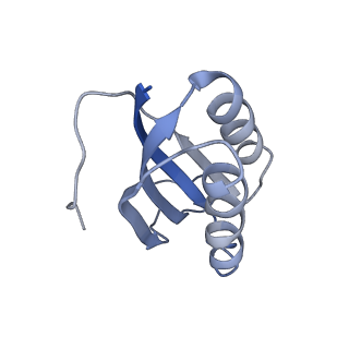 8522_5u9g_F_v1-4
3.2 A cryo-EM ArfA-RF2 ribosome rescue complex (Structure I)