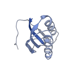 8522_5u9g_F_v1-5
3.2 A cryo-EM ArfA-RF2 ribosome rescue complex (Structure I)