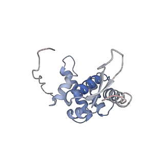8522_5u9g_G_v1-4
3.2 A cryo-EM ArfA-RF2 ribosome rescue complex (Structure I)