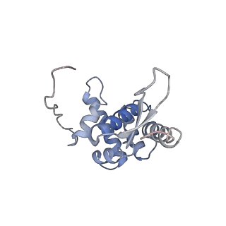 8522_5u9g_G_v1-5
3.2 A cryo-EM ArfA-RF2 ribosome rescue complex (Structure I)