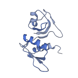 8522_5u9g_H_v1-4
3.2 A cryo-EM ArfA-RF2 ribosome rescue complex (Structure I)