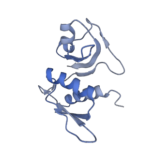 8522_5u9g_H_v1-5
3.2 A cryo-EM ArfA-RF2 ribosome rescue complex (Structure I)