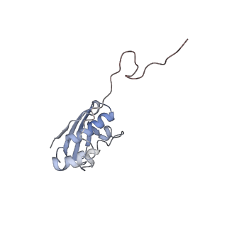 8522_5u9g_I_v1-5
3.2 A cryo-EM ArfA-RF2 ribosome rescue complex (Structure I)