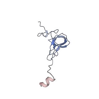 8522_5u9g_L_v1-4
3.2 A cryo-EM ArfA-RF2 ribosome rescue complex (Structure I)