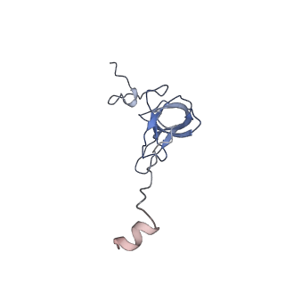 8522_5u9g_L_v1-5
3.2 A cryo-EM ArfA-RF2 ribosome rescue complex (Structure I)