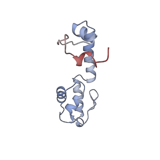 8522_5u9g_M_v1-4
3.2 A cryo-EM ArfA-RF2 ribosome rescue complex (Structure I)