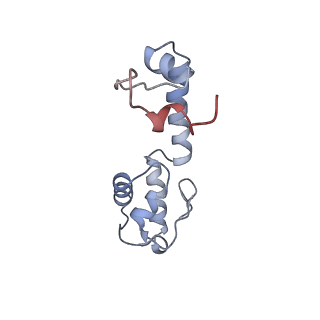 8522_5u9g_M_v1-5
3.2 A cryo-EM ArfA-RF2 ribosome rescue complex (Structure I)