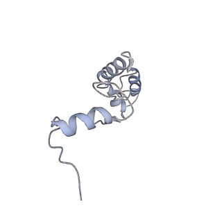 8522_5u9g_N_v1-4
3.2 A cryo-EM ArfA-RF2 ribosome rescue complex (Structure I)