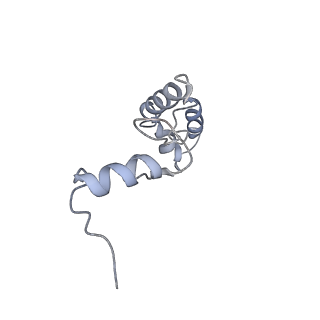 8522_5u9g_N_v1-5
3.2 A cryo-EM ArfA-RF2 ribosome rescue complex (Structure I)