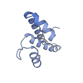 8522_5u9g_O_v1-4
3.2 A cryo-EM ArfA-RF2 ribosome rescue complex (Structure I)