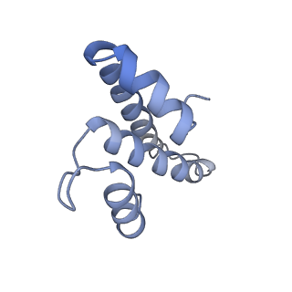 8522_5u9g_O_v1-5
3.2 A cryo-EM ArfA-RF2 ribosome rescue complex (Structure I)