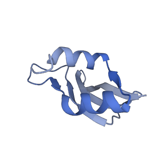 8522_5u9g_P_v1-4
3.2 A cryo-EM ArfA-RF2 ribosome rescue complex (Structure I)