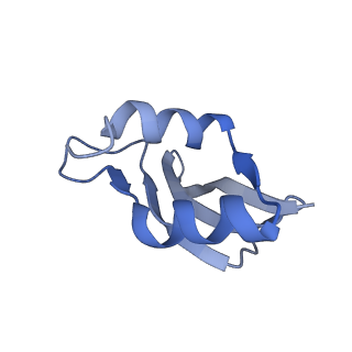 8522_5u9g_P_v1-5
3.2 A cryo-EM ArfA-RF2 ribosome rescue complex (Structure I)