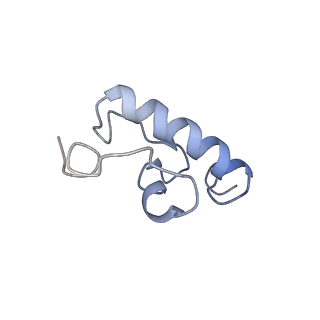 8522_5u9g_R_v1-5
3.2 A cryo-EM ArfA-RF2 ribosome rescue complex (Structure I)