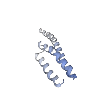 8522_5u9g_T_v1-5
3.2 A cryo-EM ArfA-RF2 ribosome rescue complex (Structure I)