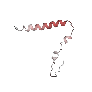 8522_5u9g_U_v1-4
3.2 A cryo-EM ArfA-RF2 ribosome rescue complex (Structure I)