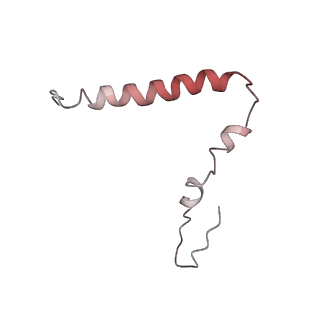 8522_5u9g_U_v1-5
3.2 A cryo-EM ArfA-RF2 ribosome rescue complex (Structure I)