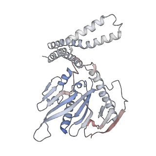 8522_5u9g_Z_v1-4
3.2 A cryo-EM ArfA-RF2 ribosome rescue complex (Structure I)