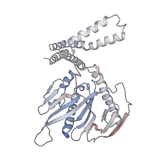 8522_5u9g_Z_v1-5
3.2 A cryo-EM ArfA-RF2 ribosome rescue complex (Structure I)