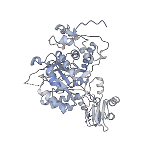 20704_6ua2_A_v1-1
Human IMPDH2 treated with ATP, IMP, NAD+, and 2 mM GTP. Bent (2/4 compressed, 2/4 extended) segment reconstruction.