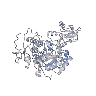 20704_6ua2_B_v1-1
Human IMPDH2 treated with ATP, IMP, NAD+, and 2 mM GTP. Bent (2/4 compressed, 2/4 extended) segment reconstruction.