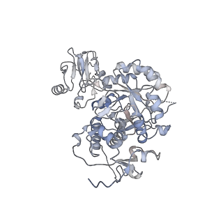 20704_6ua2_C_v1-1
Human IMPDH2 treated with ATP, IMP, NAD+, and 2 mM GTP. Bent (2/4 compressed, 2/4 extended) segment reconstruction.