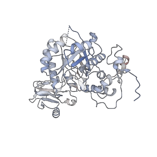 20704_6ua2_D_v1-1
Human IMPDH2 treated with ATP, IMP, NAD+, and 2 mM GTP. Bent (2/4 compressed, 2/4 extended) segment reconstruction.