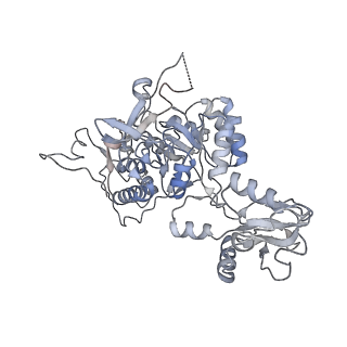 20704_6ua2_F_v1-1
Human IMPDH2 treated with ATP, IMP, NAD+, and 2 mM GTP. Bent (2/4 compressed, 2/4 extended) segment reconstruction.