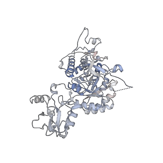 20704_6ua2_G_v1-1
Human IMPDH2 treated with ATP, IMP, NAD+, and 2 mM GTP. Bent (2/4 compressed, 2/4 extended) segment reconstruction.