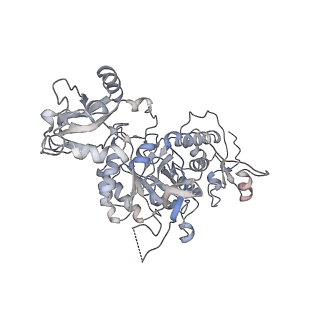 20704_6ua2_H_v1-1
Human IMPDH2 treated with ATP, IMP, NAD+, and 2 mM GTP. Bent (2/4 compressed, 2/4 extended) segment reconstruction.