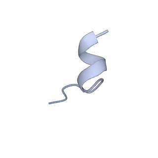 20704_6ua2_J_v1-1
Human IMPDH2 treated with ATP, IMP, NAD+, and 2 mM GTP. Bent (2/4 compressed, 2/4 extended) segment reconstruction.