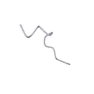 20704_6ua2_K_v1-1
Human IMPDH2 treated with ATP, IMP, NAD+, and 2 mM GTP. Bent (2/4 compressed, 2/4 extended) segment reconstruction.