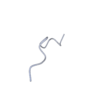 20704_6ua2_M_v1-1
Human IMPDH2 treated with ATP, IMP, NAD+, and 2 mM GTP. Bent (2/4 compressed, 2/4 extended) segment reconstruction.