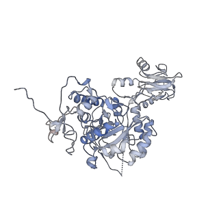 20707_6uaj_B_v1-0
Human IMPDH2 treated with ATP, IMP, NAD+, and 2 mM GTP. Free canonical octamer reconstruction.