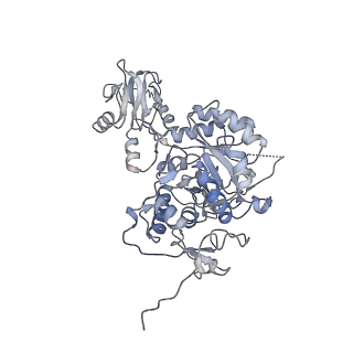 20707_6uaj_C_v1-1
Human IMPDH2 treated with ATP, IMP, NAD+, and 2 mM GTP. Free canonical octamer reconstruction.