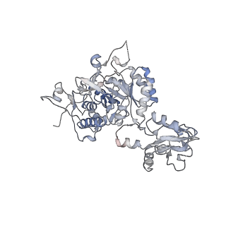 20707_6uaj_F_v1-0
Human IMPDH2 treated with ATP, IMP, NAD+, and 2 mM GTP. Free canonical octamer reconstruction.