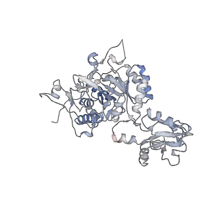 20707_6uaj_F_v1-1
Human IMPDH2 treated with ATP, IMP, NAD+, and 2 mM GTP. Free canonical octamer reconstruction.