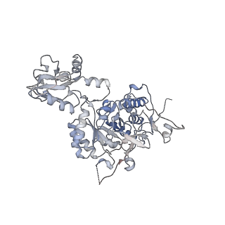 20707_6uaj_H_v1-0
Human IMPDH2 treated with ATP, IMP, NAD+, and 2 mM GTP. Free canonical octamer reconstruction.