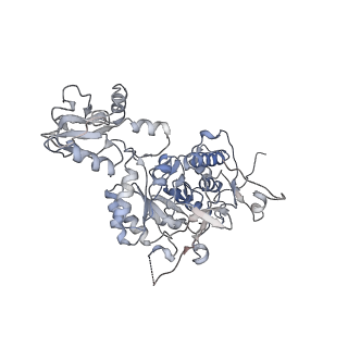 20707_6uaj_H_v1-1
Human IMPDH2 treated with ATP, IMP, NAD+, and 2 mM GTP. Free canonical octamer reconstruction.