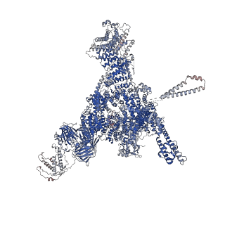 26412_7ua1_A_v1-0
Structure of PKA phosphorylated human RyR2-R2474S in the closed state in the presence of ARM210