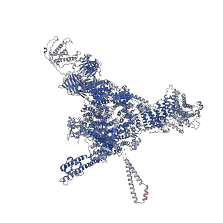 26412_7ua1_B_v1-0
Structure of PKA phosphorylated human RyR2-R2474S in the closed state in the presence of ARM210