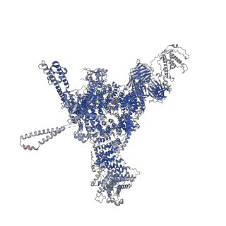 26412_7ua1_C_v1-0
Structure of PKA phosphorylated human RyR2-R2474S in the closed state in the presence of ARM210