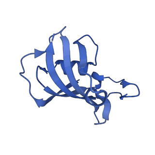 26412_7ua1_E_v1-0
Structure of PKA phosphorylated human RyR2-R2474S in the closed state in the presence of ARM210